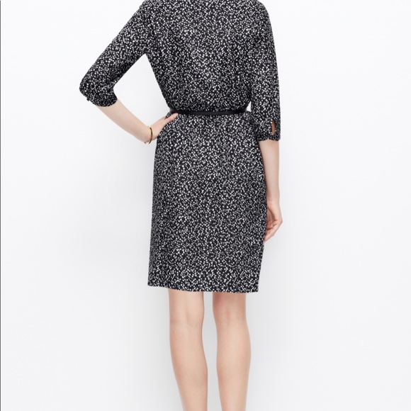 Ann Taylor Lace Confetti Dress - Picture 3 of 6